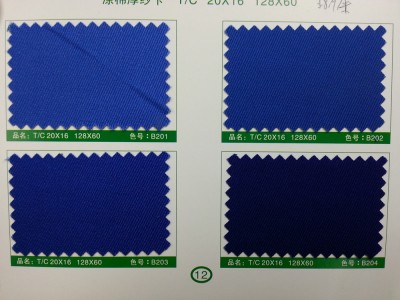 SD-DGYE   滌棉厚紗卡  T/C  20*16  128*60 側面照